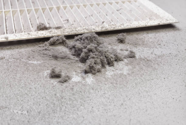 Best Air Duct Cleaning Near Me  in Holly Hill, SC