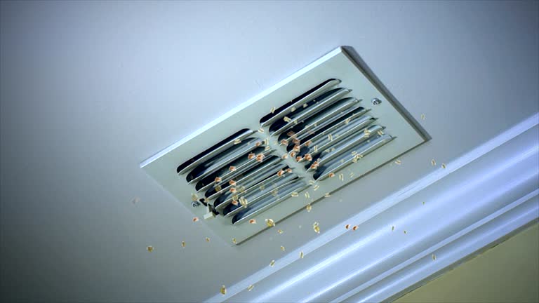 Best Home Air Vent Cleaning  in Holly Hill, SC