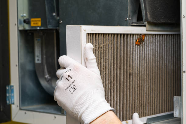 Best Affordable Duct Cleaning Services  in Holly Hill, SC