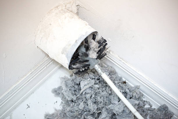 Best Ductwork Cleaning Services  in Holly Hill, SC